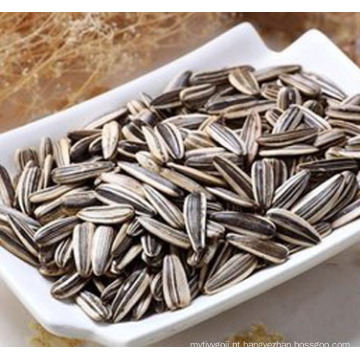 Nova escolha de sementes de girassol de origem chinesa